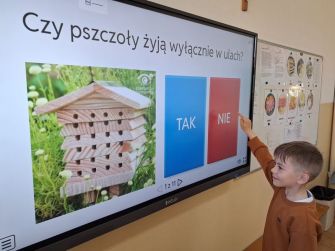 Światowy Dzień Pszczół – spotkanie z pszczelarzem