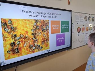 Światowy Dzień Pszczół – spotkanie z pszczelarzem