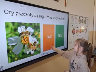 Światowy Dzień Pszczół – spotkanie z pszczelarzem