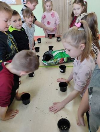 Podsumowanie realizacji projektu edukacyjnego 