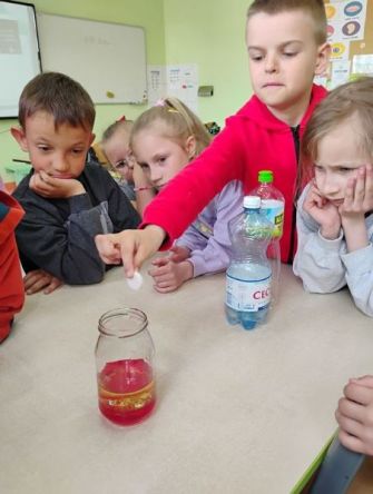 Podsumowanie realizacji projektu edukacyjnego 