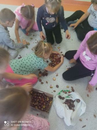 Podsumowanie realizacji projektu edukacyjnego 