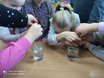 Podsumowanie realizacji projektu edukacyjnego 