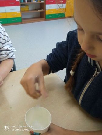 Podsumowanie realizacji projektu edukacyjnego 